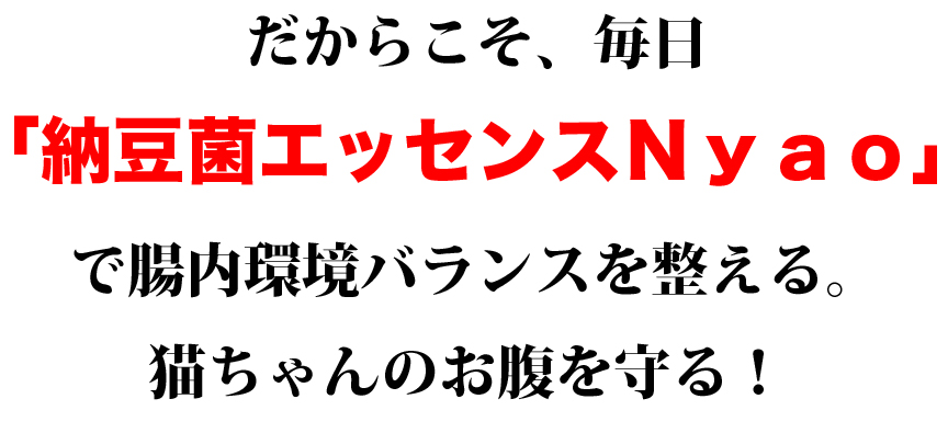 nyao-2