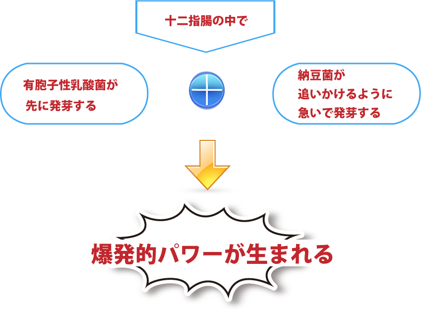 zukei